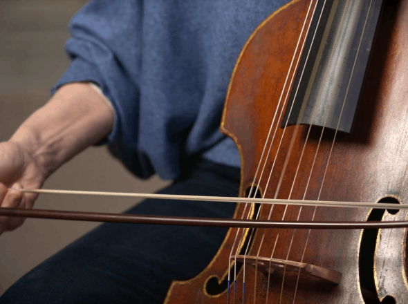 De viola da gamba